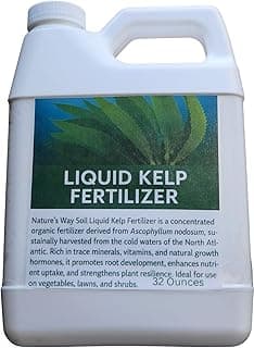 Nature's Way Soil Liquid Kelp Fertilizer - Organic Seaweed Extract for Root Development & Plant Vigor