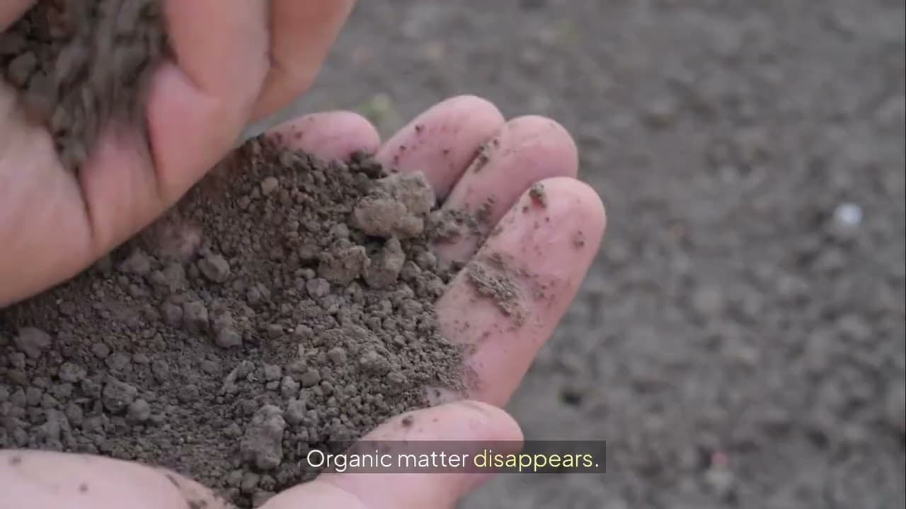 Nature's Way Soil - Living Soil