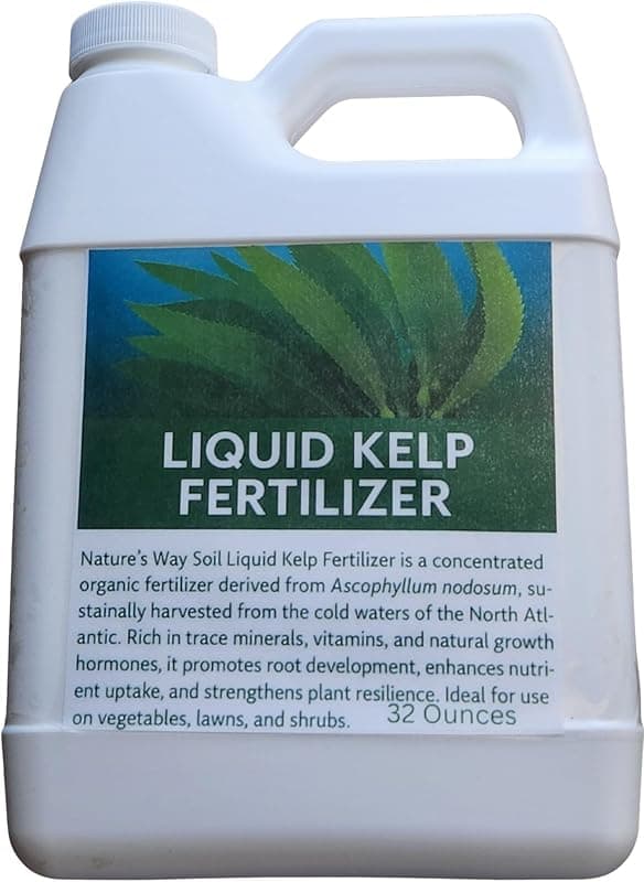 Liquid Kelp Fertilizer - Cold-Processed Seaweed Plant Food